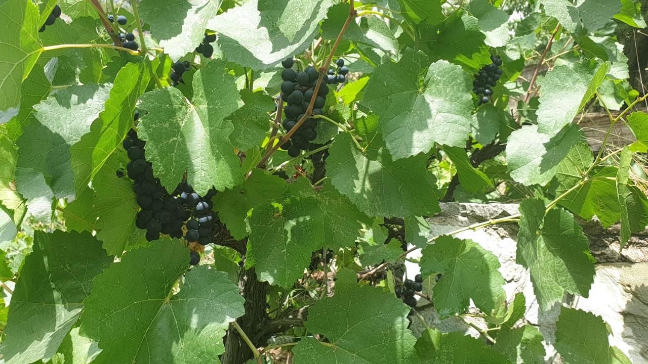 Гостевой дом More than a hotel Тбилиси-24