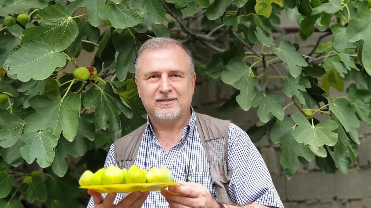 Гостевой дом More than a hotel Тбилиси-27