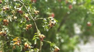 Гостевой дом More than a hotel Тбилиси Двухместный номер Делюкс с 1 кроватью (для 2 взрослых и 1 ребенка)-31