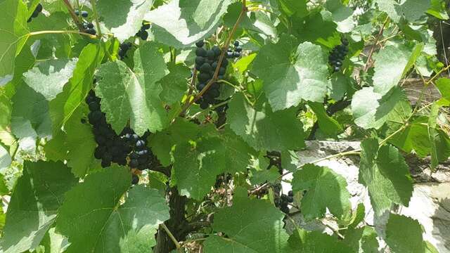 Гостевой дом More than a hotel Тбилиси-23