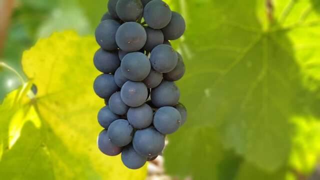 Гостевой дом More than a hotel Тбилиси-63